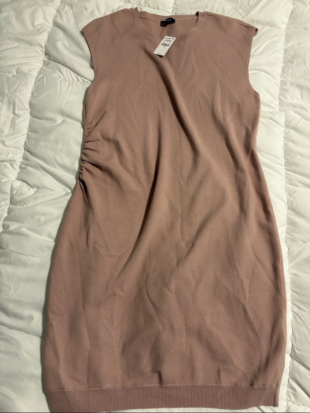 Express Blush Knit Sheath Dress